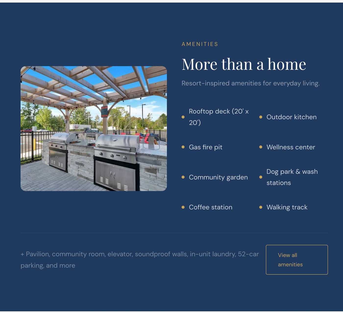 The amenities section on a deep navy background, listing the rooftop deck, outdoor kitchen, gas fire pit, wellness center, community garden, dog park, coffee station, and walking track.